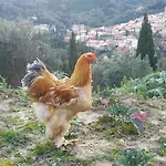 Polikseni House Agios Gordios (Corfu)