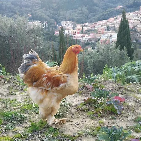 Polikseni House Agios Gordios (Corfu)